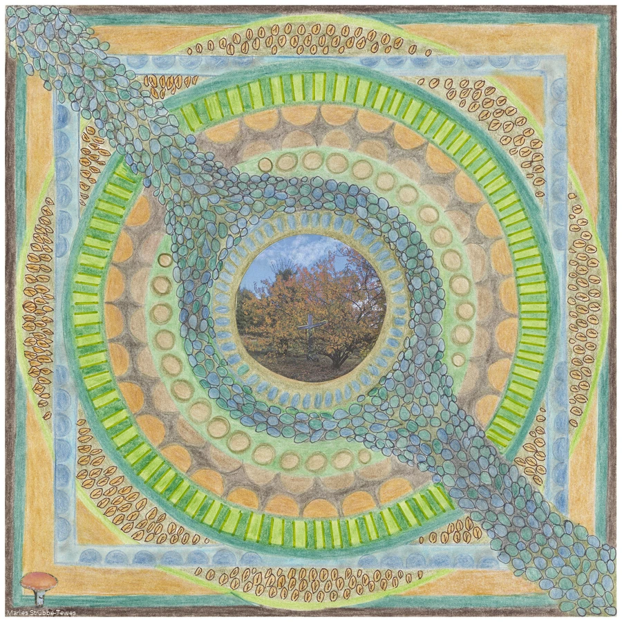 Mandala vom Sauerland-Seelenort Schwarzbachtal.jpg