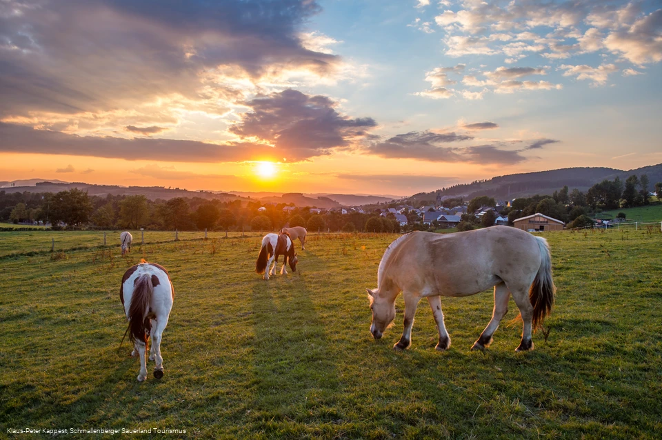 Blick auf Holthausen im Schmallenberger Sauerland