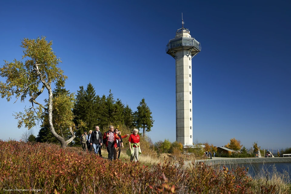 Wandergruppe vor Hochheideturm Wandergruppe vor dem Hochheideturm in Willingen