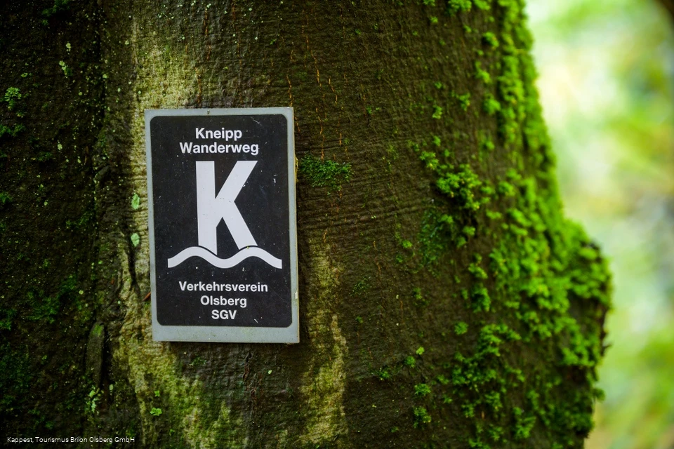 Olsberger Kneipp WanderWeg