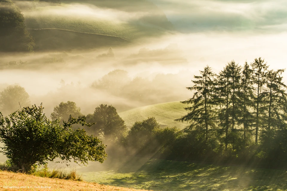 morgendunst-im-sauerland-1133.jpg