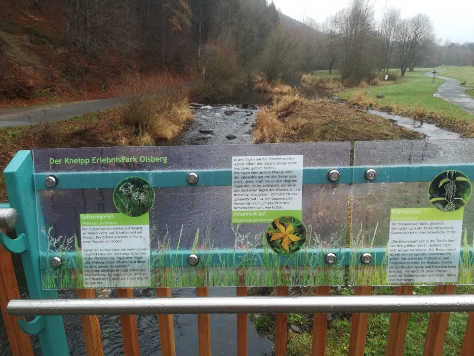 IMG-20201206-WA0006.jpg