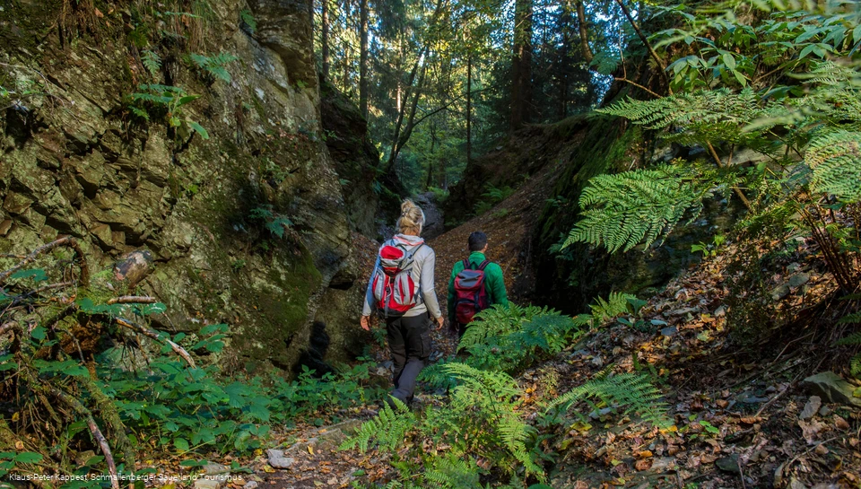 Traumhafte Pfad auf dem Kahlen Asten Steig