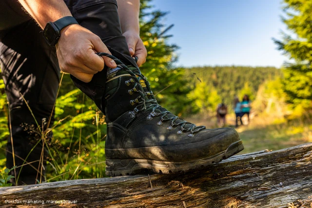 Wanderschuh 