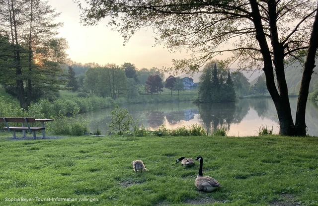 Stryckteich im Abendlicht