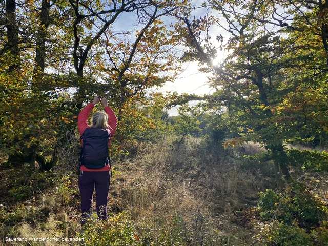 Unterwegs auf dem Medebacher Bergweg
