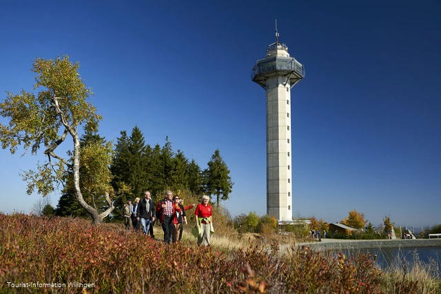 Wandergruppe vor dem Hochheideturm in Willingen