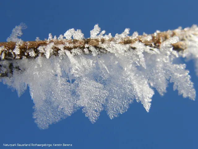 Eiskristalle