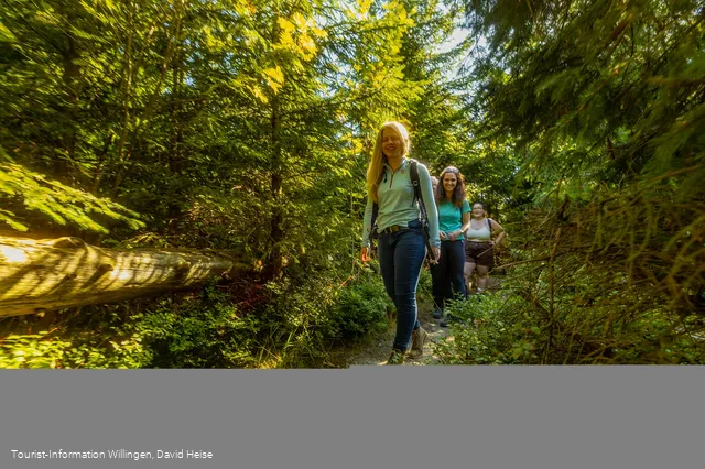 Wandergruppe im Wald