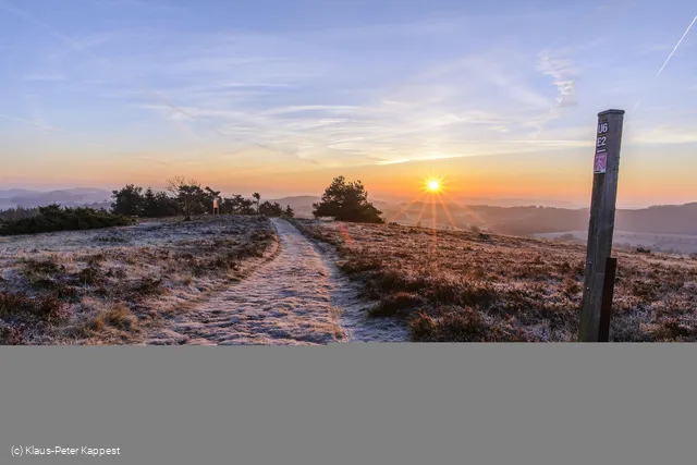 Raureif am Osterkopf bei Sonnenaufgang