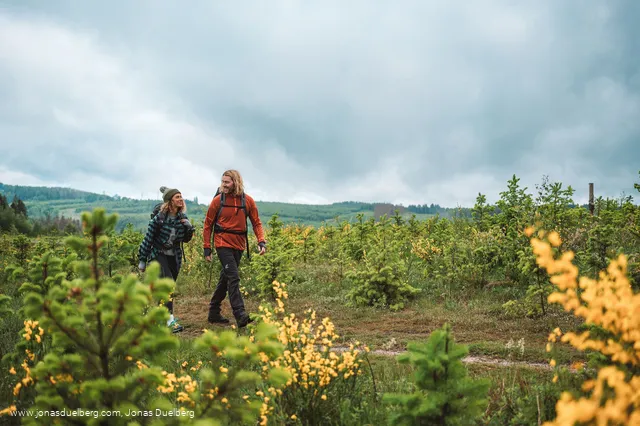 Wanderpaar auf einem Hoehenzug im Sauerland