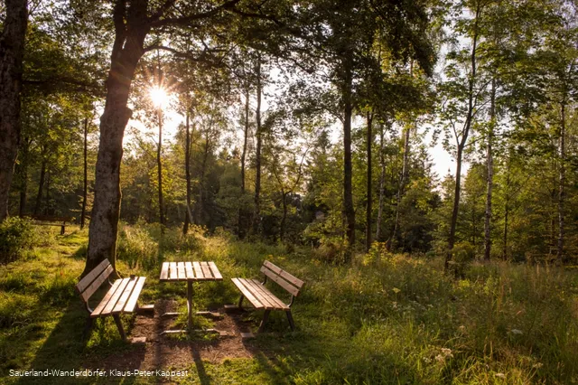 Abendstimmung am Wilzenberg auf einer kleinen Lichtung