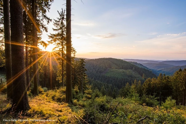 Aussicht vom Grenzweg bei Schmallenberg-Jagdhaus