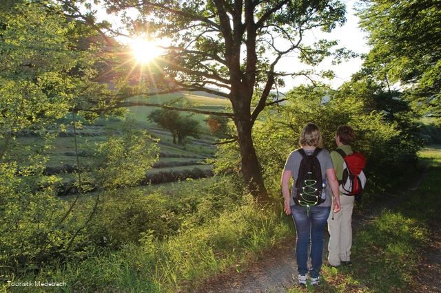Unterwegs auf dem Medebacher Bergweg