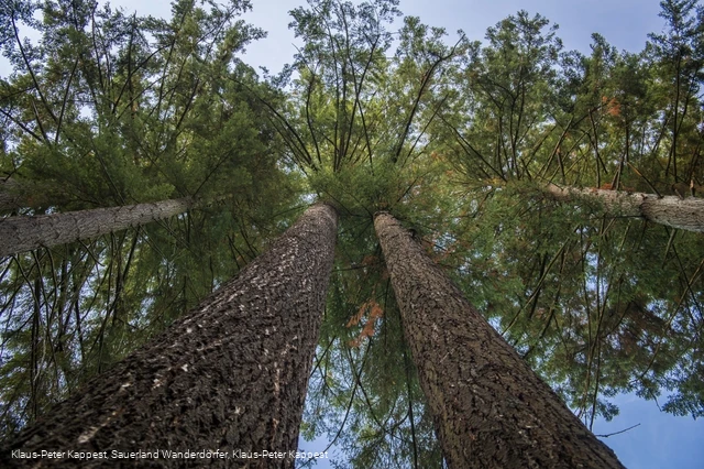 Himmelssäulen bei Medebach-Glindfeld
