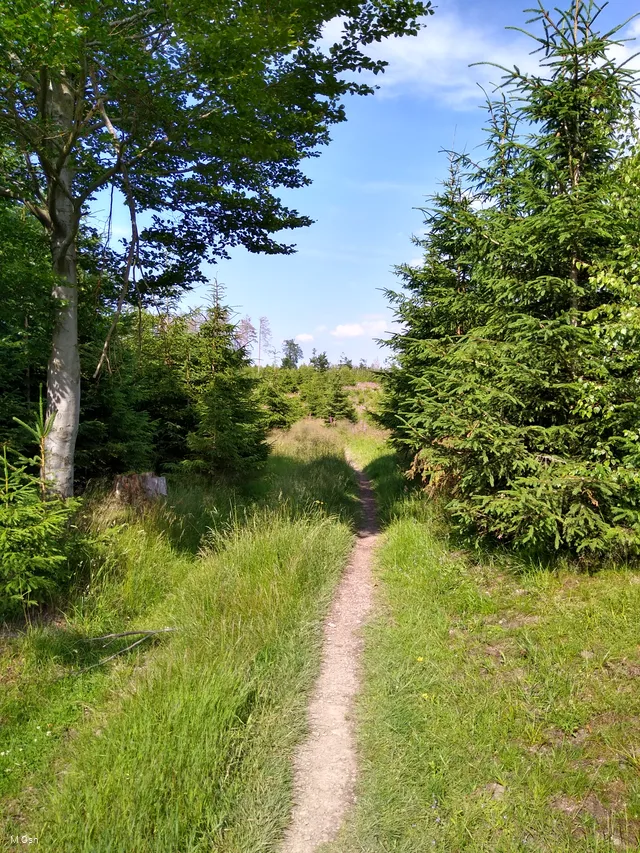IMG_20210703_164613216_HDR.jpg
