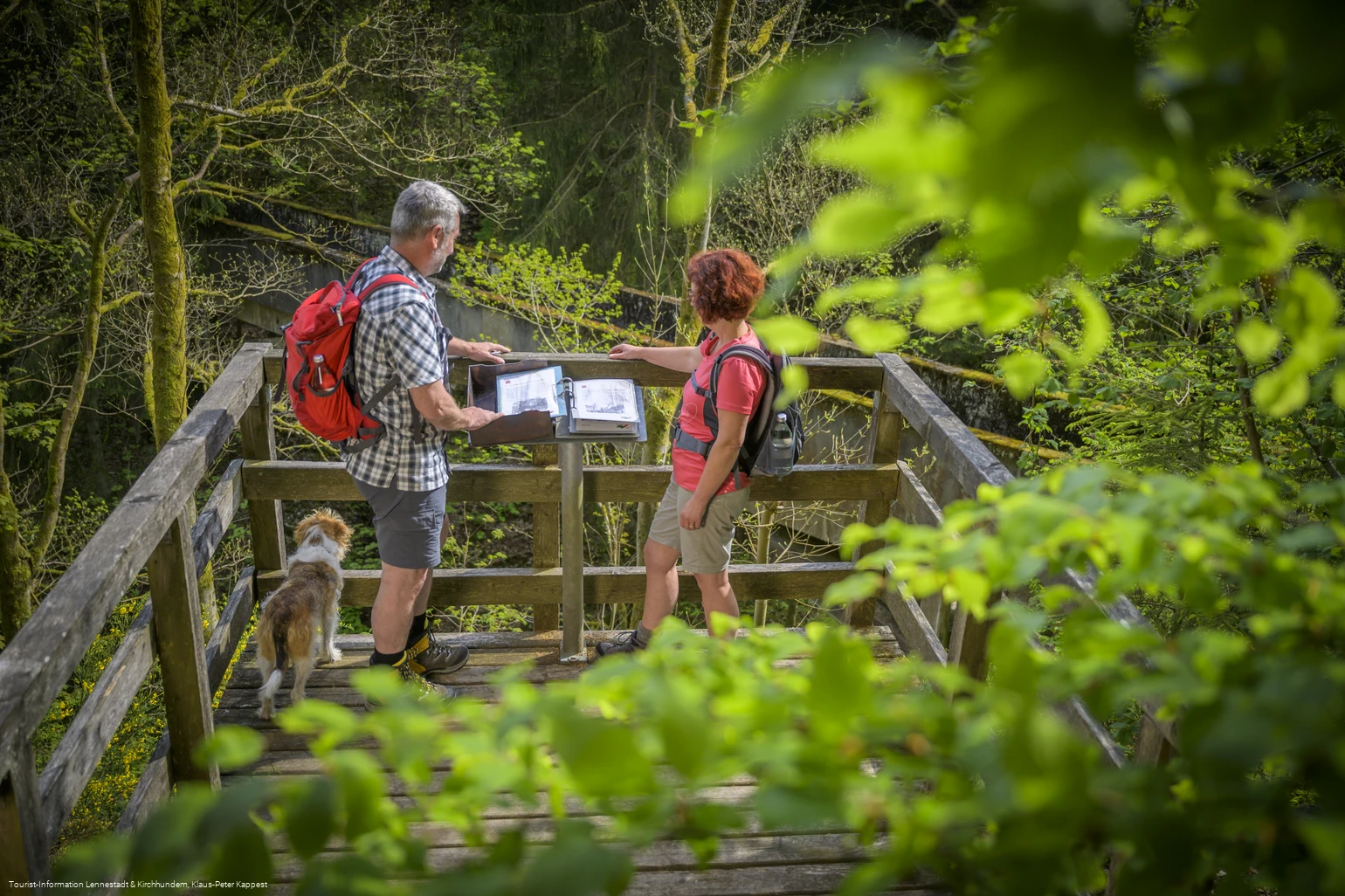 Äquadukt am Rothaarsteig