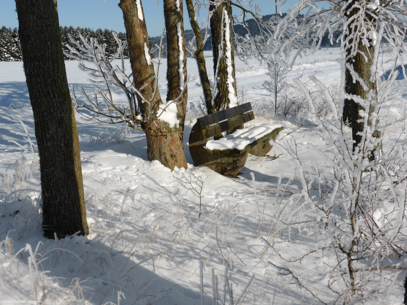 Winter in Medebach