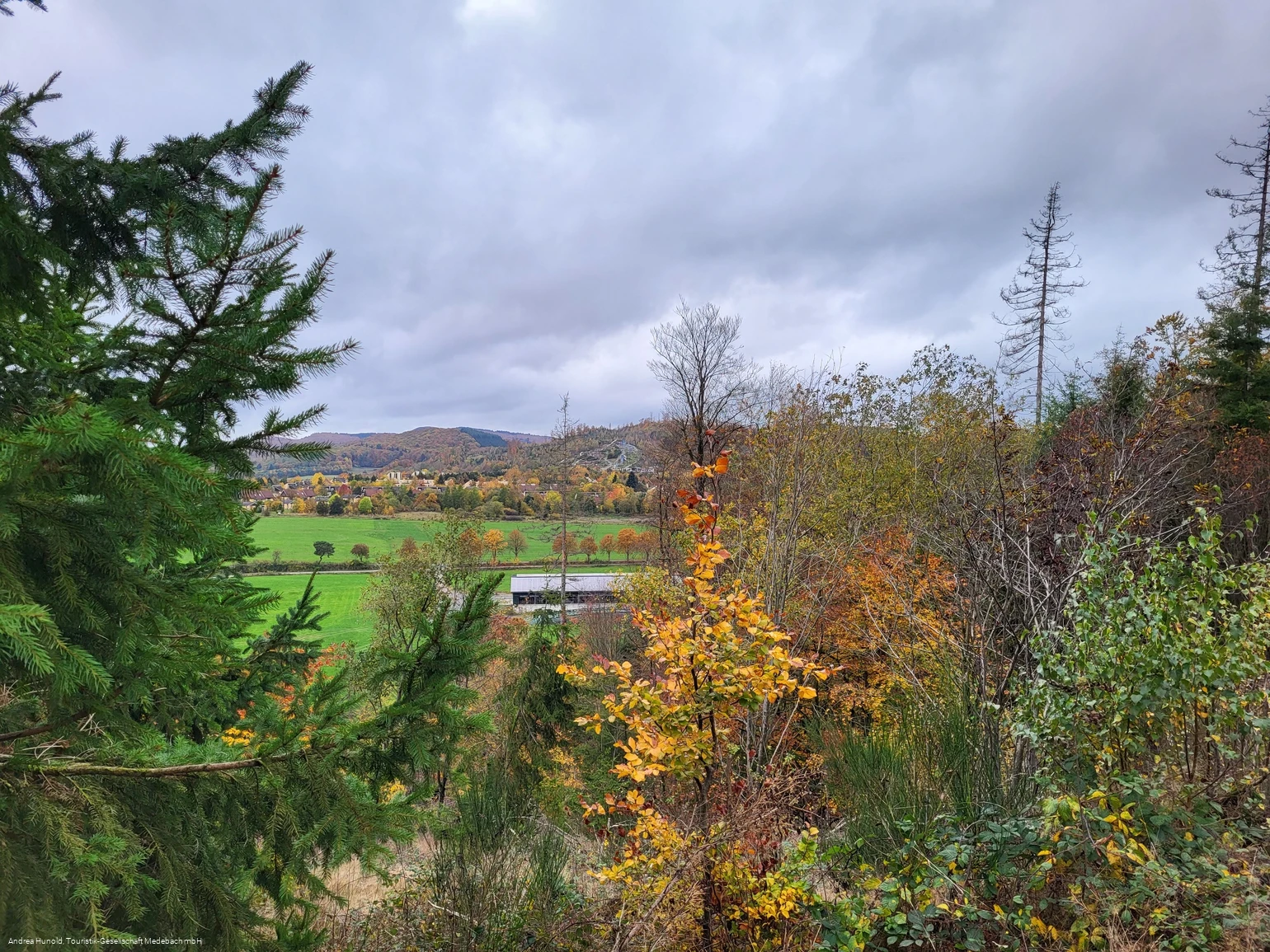 Ausblick vom Hasenkammerblick / Weddelberg