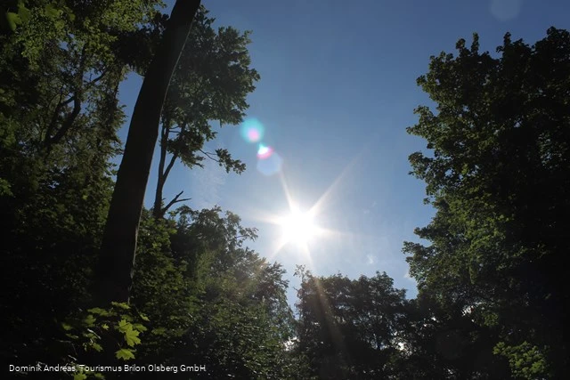 Naturschutzgebiet Drübel