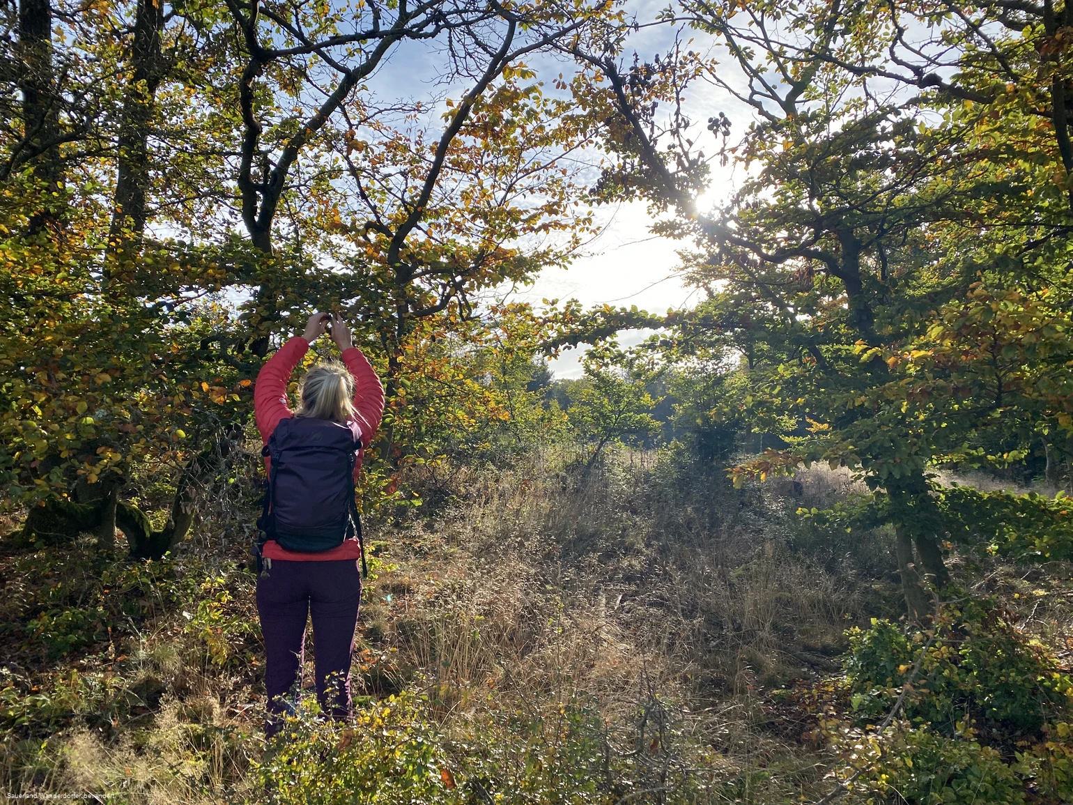 Unterwegs auf dem Medebacher Bergweg