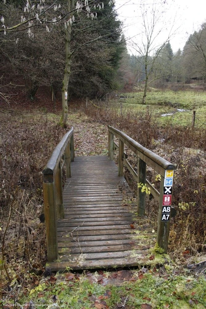 Viele Wanderwege führen hier entlang