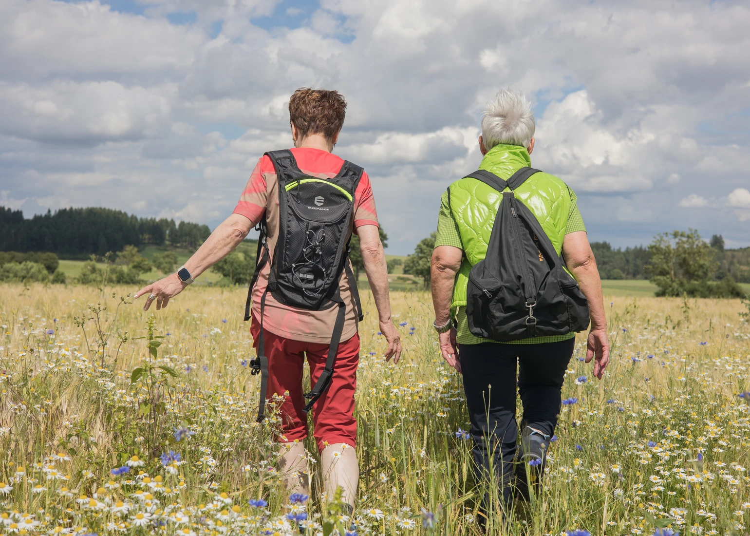Wandern in der Ferienregion Medebach