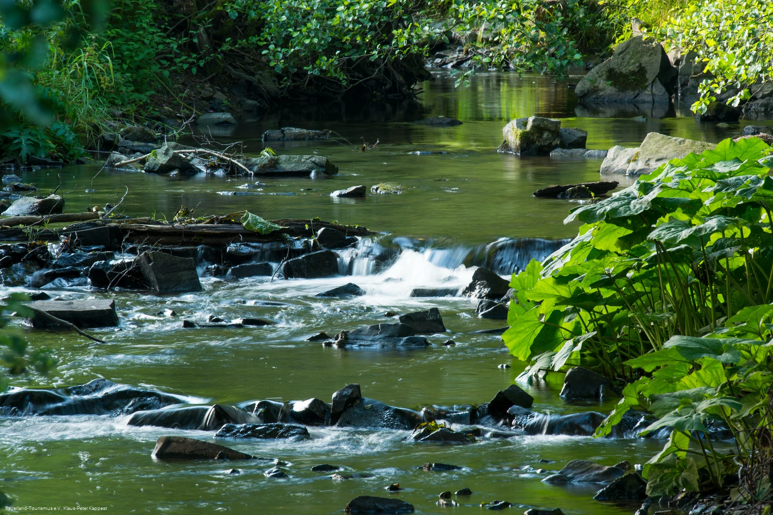 Sommerlichter Medebach