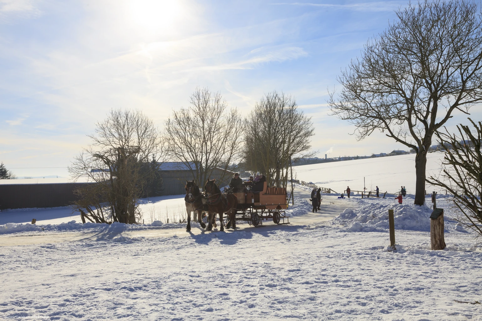 Pferdeschlitten im Winter in Medebach