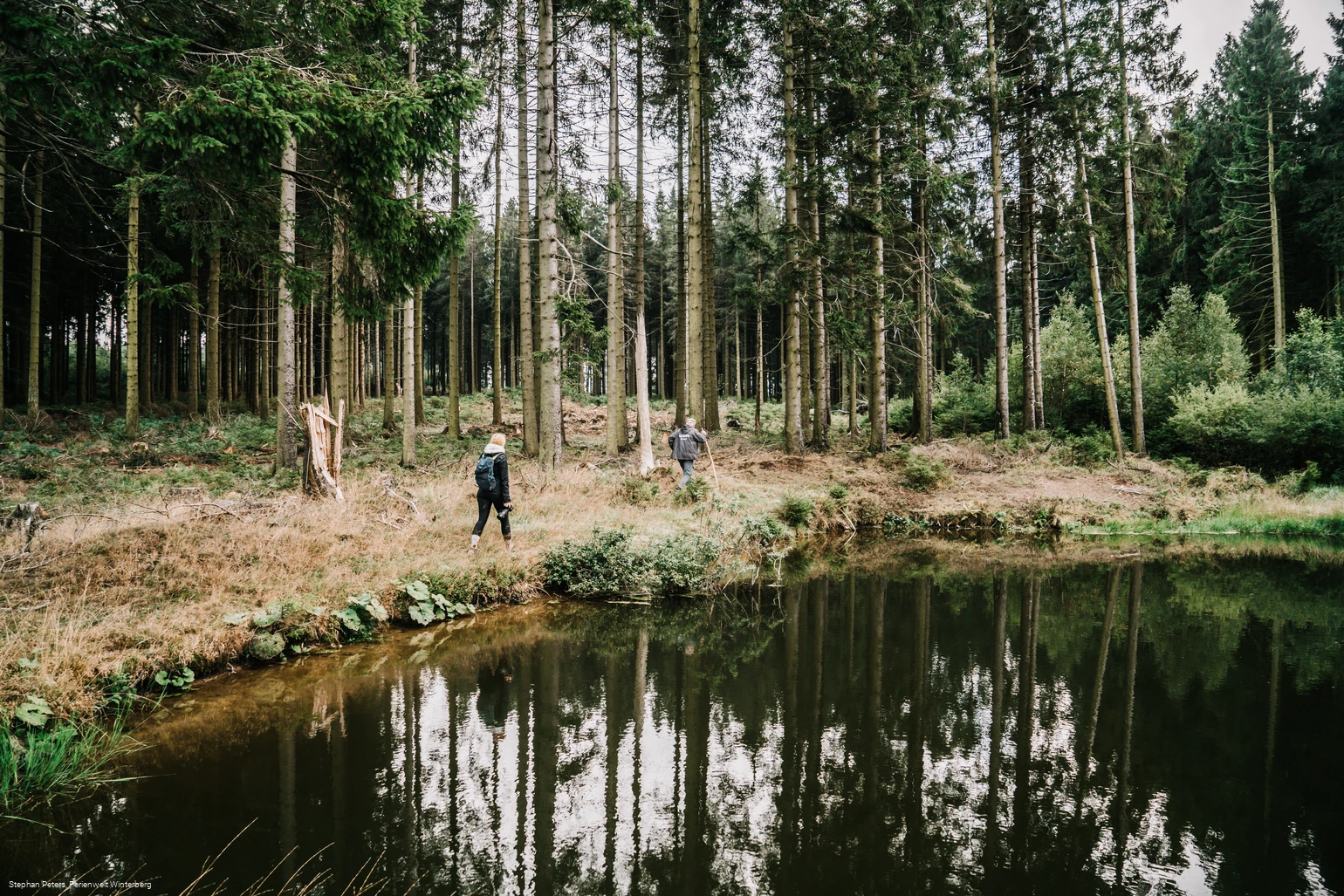 Wanderer am See