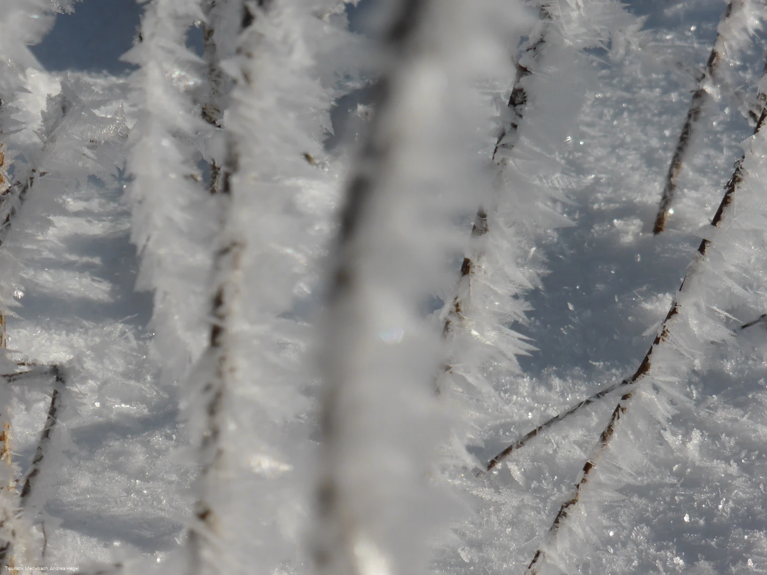 Winter in Medebach