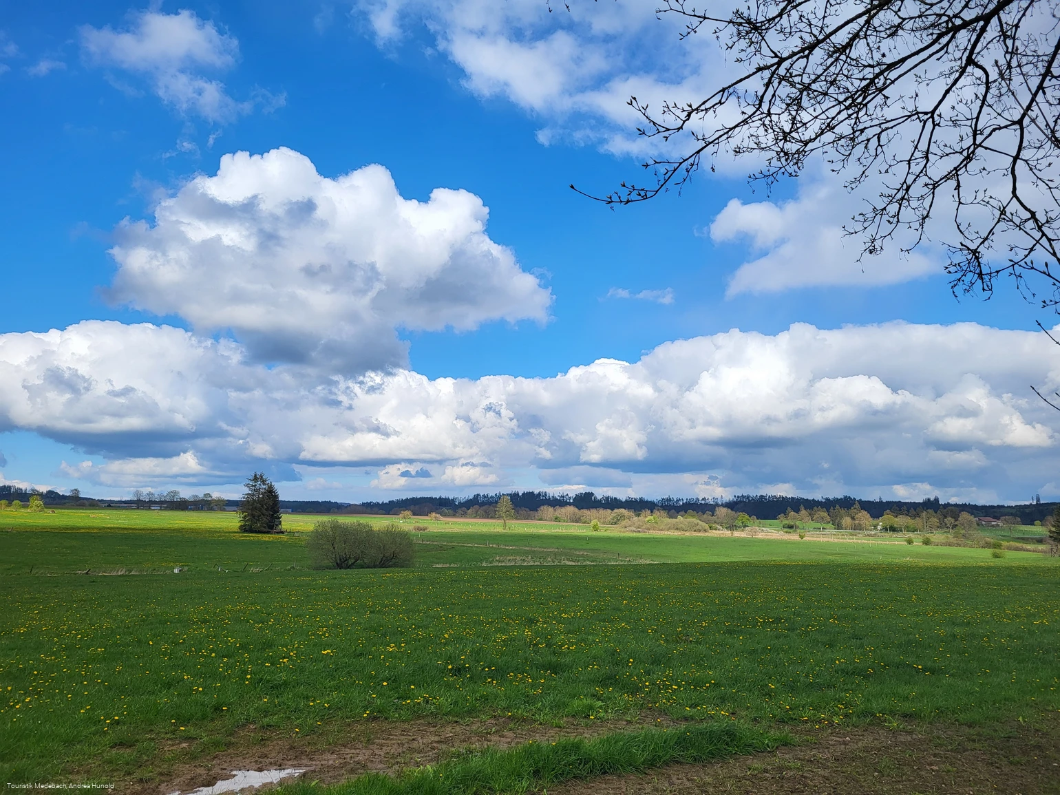 Frühling in der Medebacher Bucht
