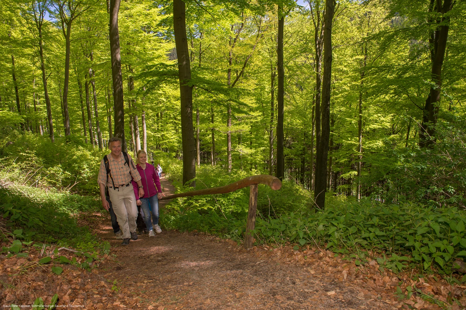 Wandern im Sorpetal