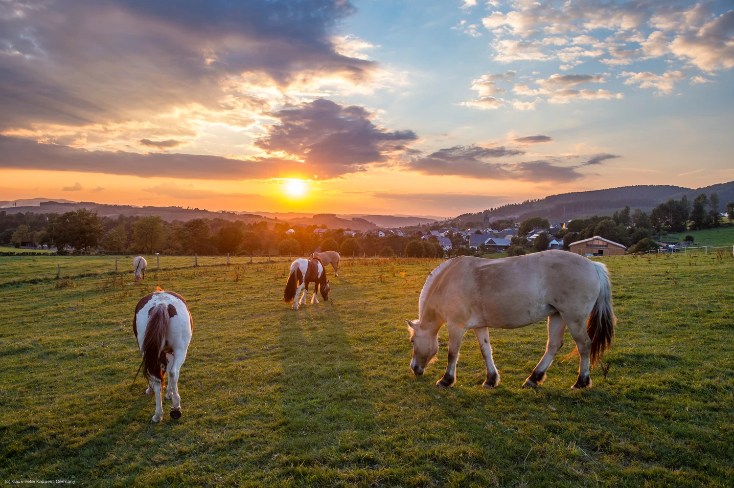 Blick auf Holthausen im Schmallenberger Sauerland