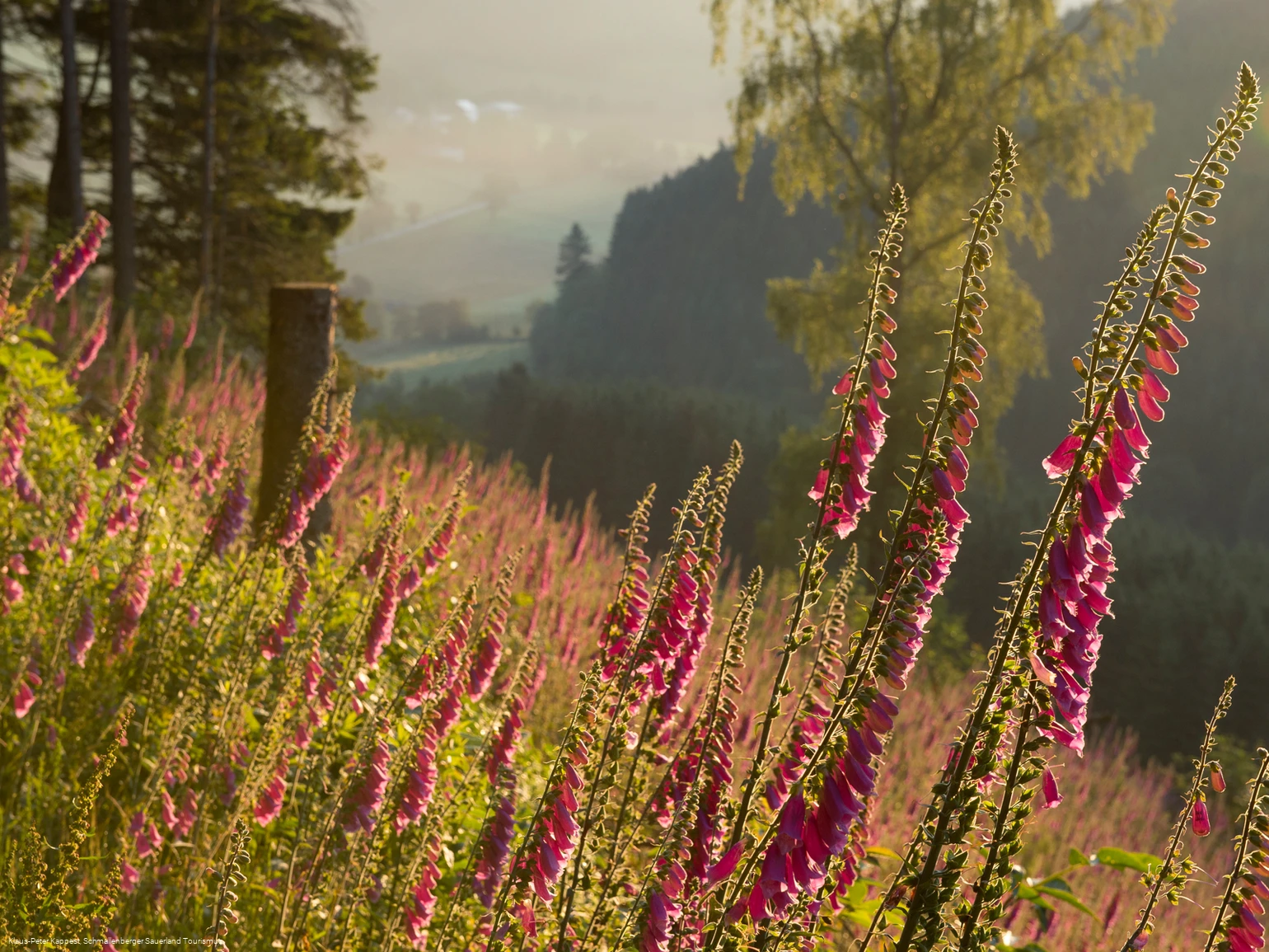 Wandern im Schmallenberger Sauerland