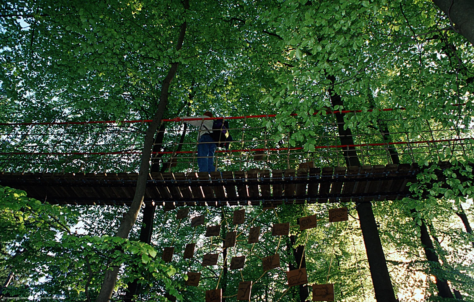 Hängebrücke am Rothaarsteig