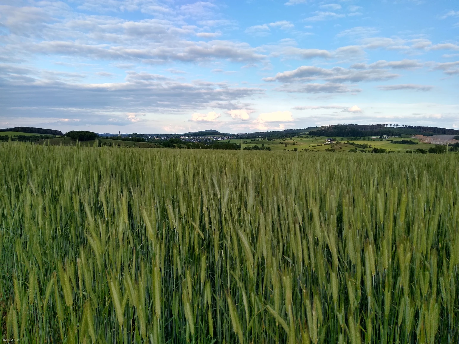 DA_IMG_20200607_201648305_HDR.jpg