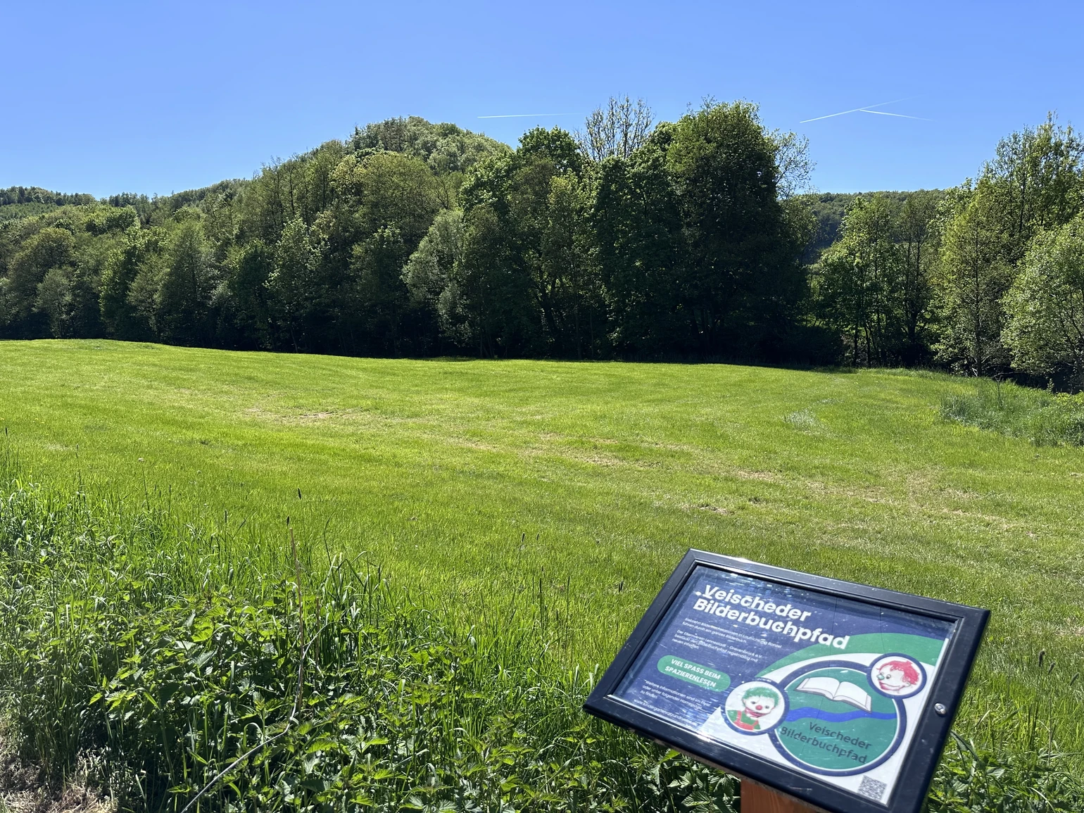 Veischeder Bilderbuchpfad_Wiese