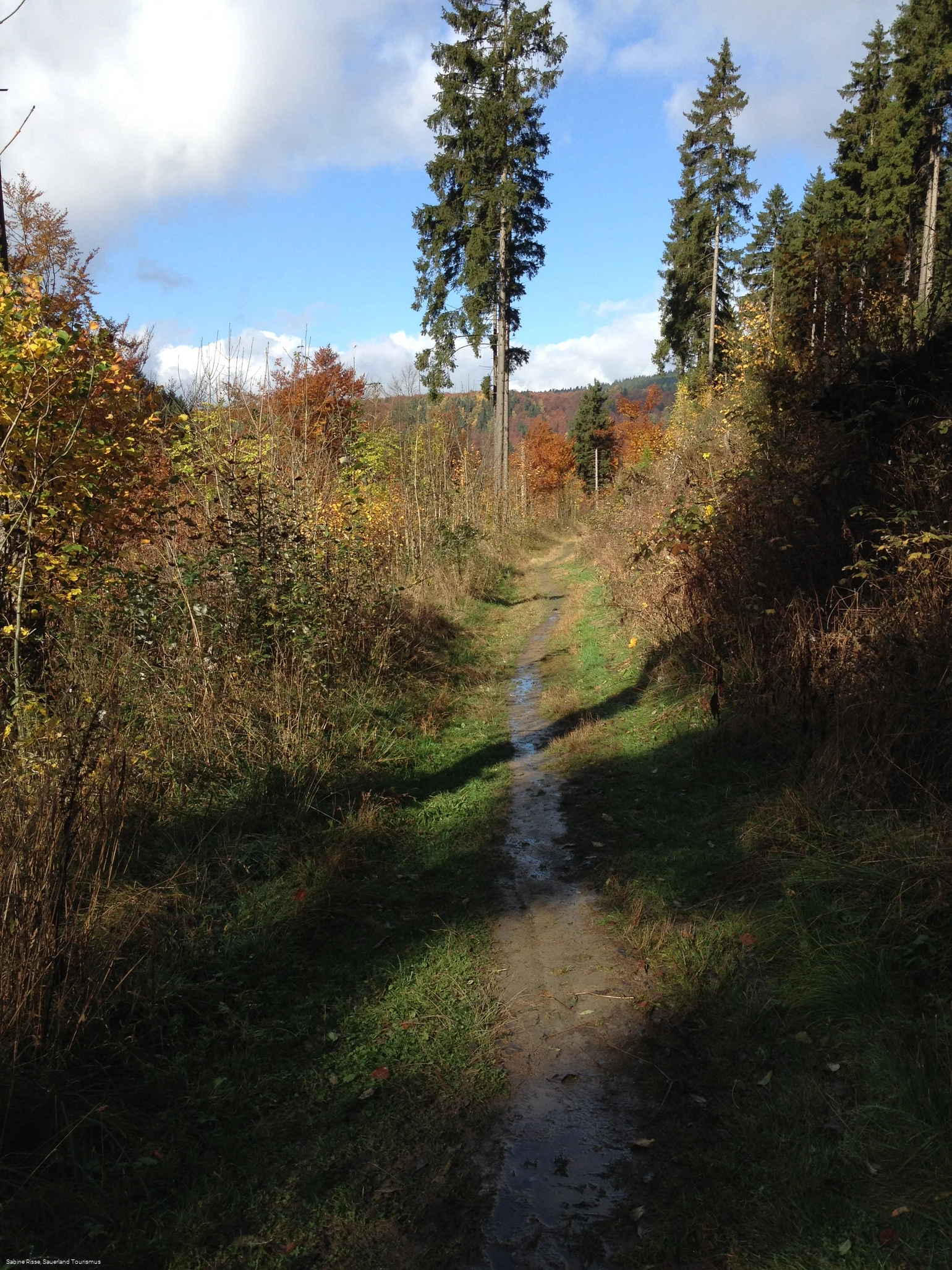 Wandern rund um Latrop