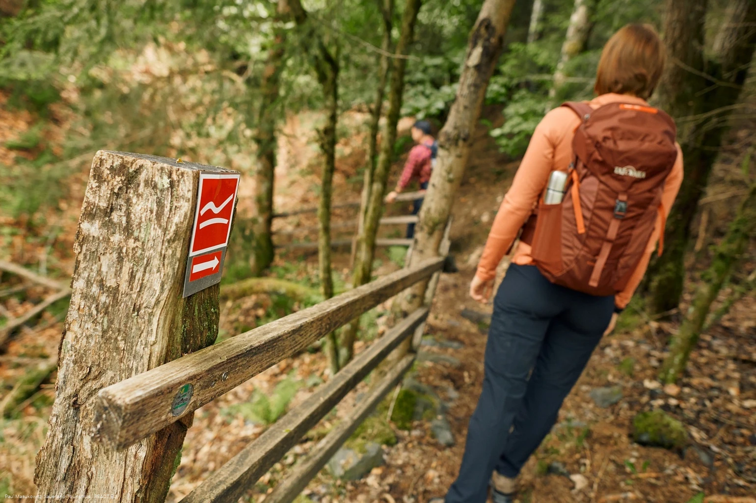 Pfad bei Wagenschmier auf dem Rothaarsteig