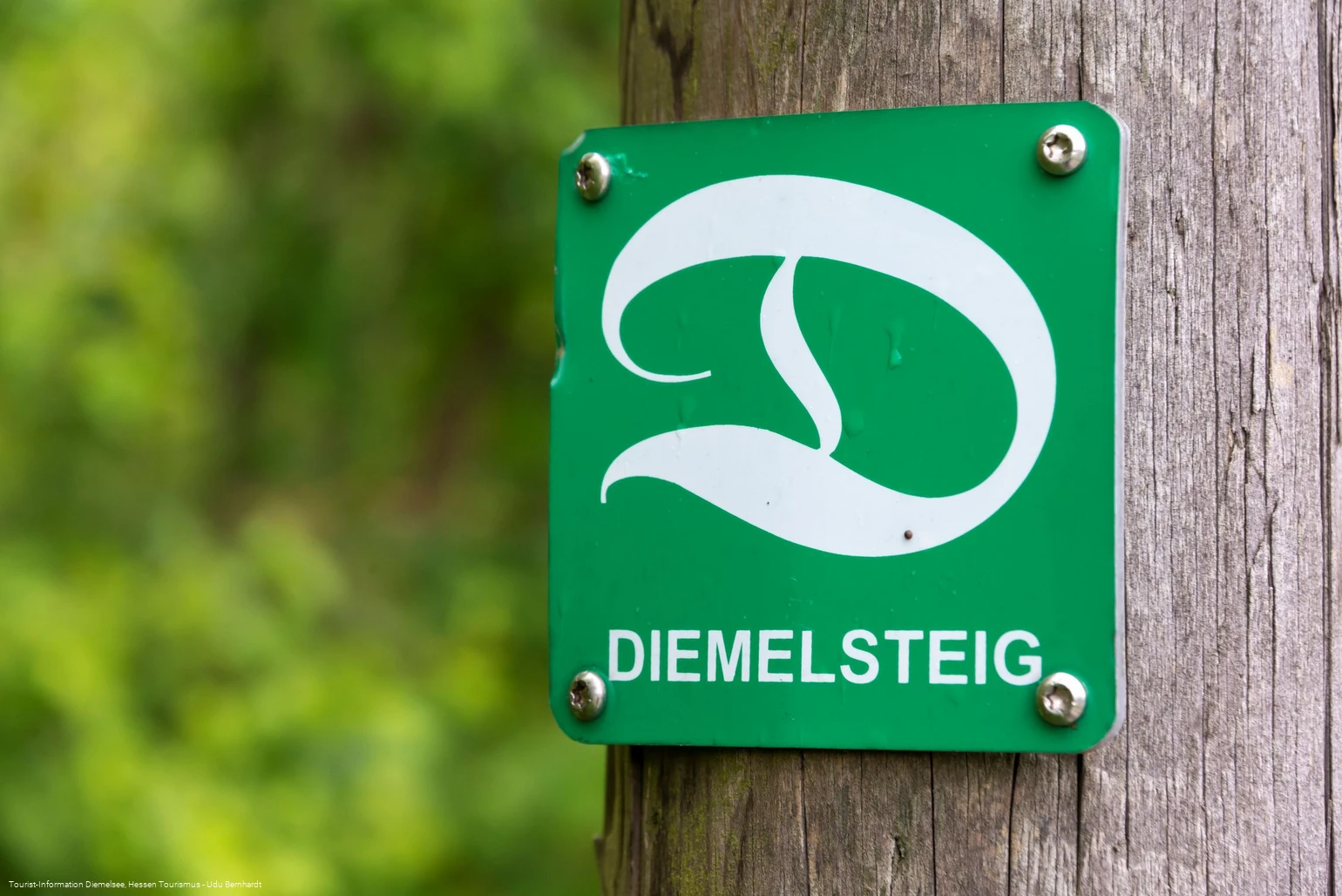 Diemelsteig