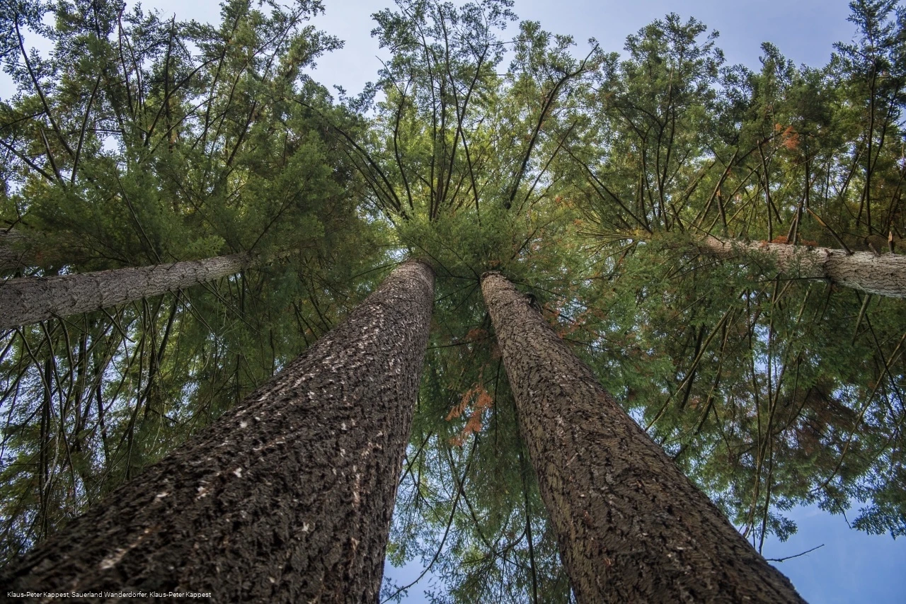 Himmelssäulen bei Medebach-Glindfeld