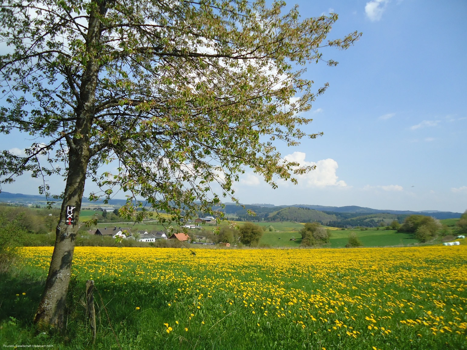 Fernsicht Berge
