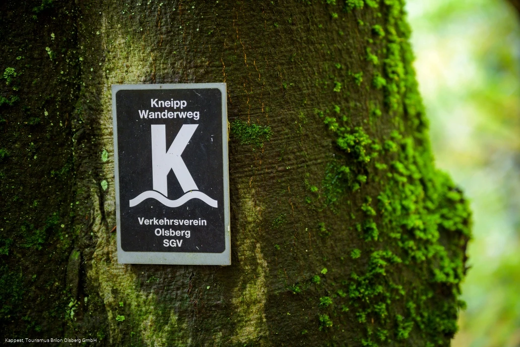 Olsberger Kneipp WanderWeg
