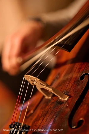 Nahaufnahme eines Cellos