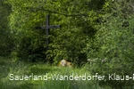 Seelenort Schwarzbachtal