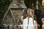 Es gibt viel zu entdecken bei den Familien-Wanderwegen in Medebach