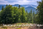 Weotblick auf den Ettelsberg vom Turm auf dem Gelände der Schwalenburg