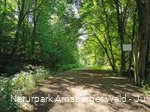 Sauerland-Waldroute an den Almequellen