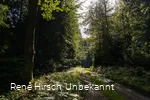 Rahrbacher Poesieweg Richtung Welschen Ennest